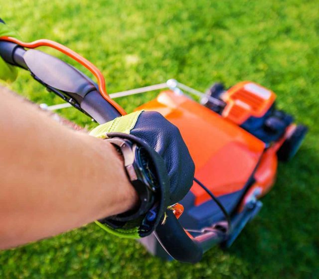 The Ultimate Guide to Grounds Maintenance in London