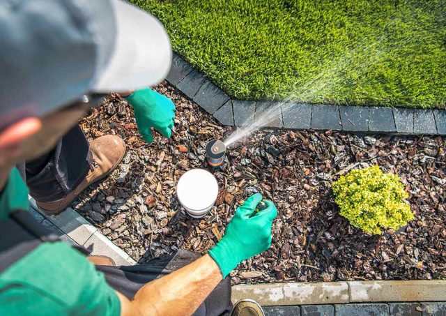 Water-Wise Gardening: Tips for Conserving Water in Your Landscape