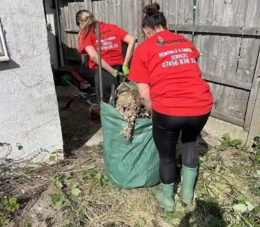 Waste Removal Service