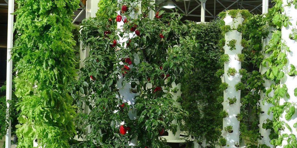 Vertical Gardening: Maximising Space with Innovative Vertical Planting Solutions