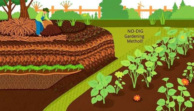 How to Start a No-Dig Garden: A Beginner’s Guide