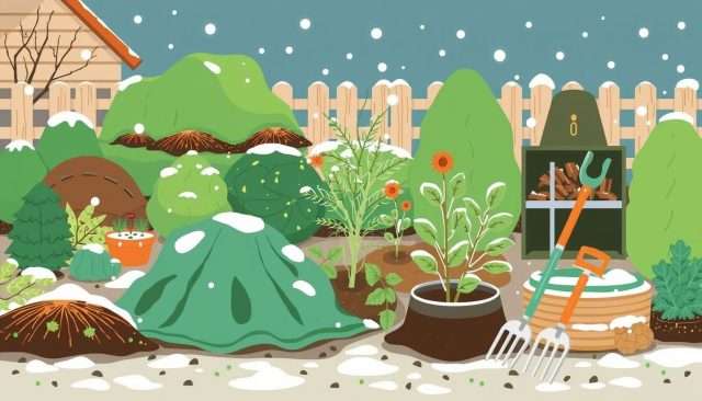 Best Practises for Winterizing Your Garden: A Handy Guide