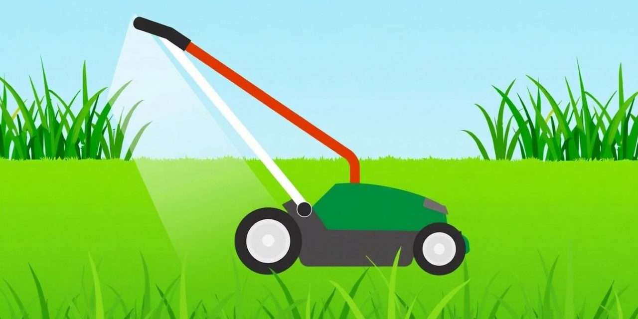 Understanding Grass Cutting Services Prices: What to Expect and How to Save