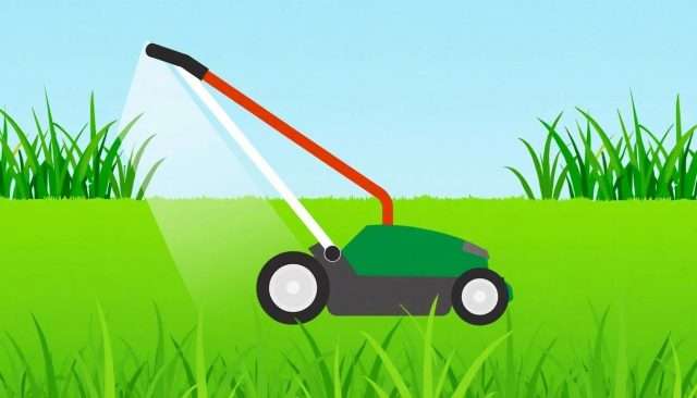 Understanding Grass Cutting Services Prices: What to Expect and How to Save